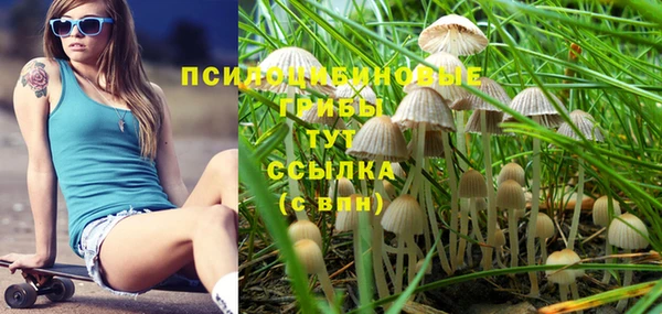 MESCALINE Арсеньев
