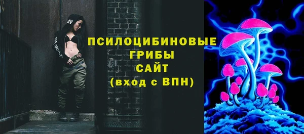 apvp Аркадак