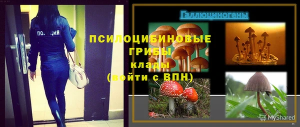 apvp Аркадак
