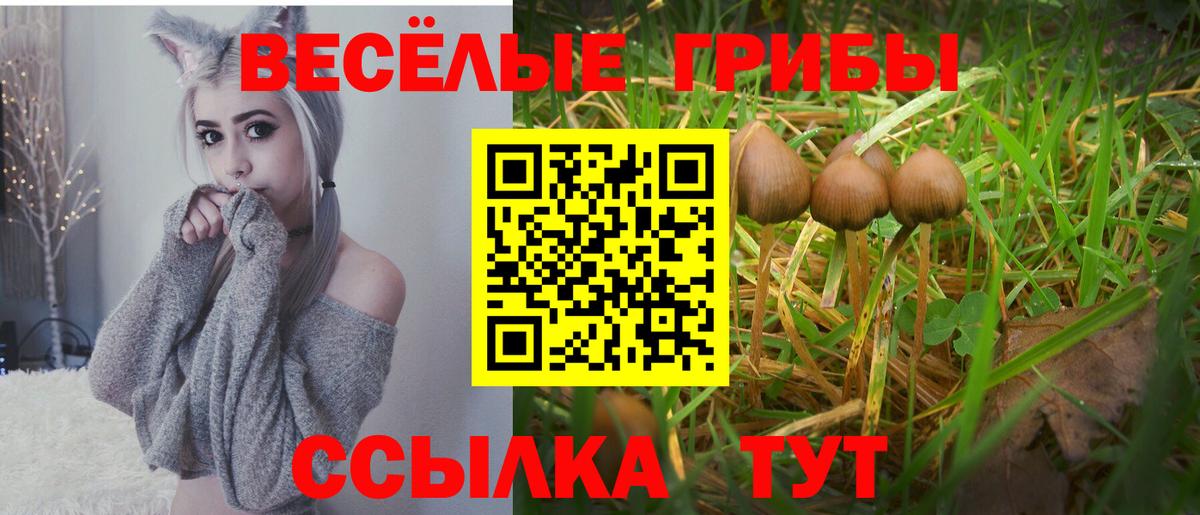 Псилоцибиновые грибы Psilocybe  Псилоцибиновые грибы ЛСД  Вход с VPN  Киров 